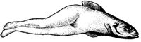 FMI071D.JPG