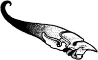 FMI061C.JPG