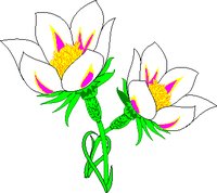 PASQFLWR.WMF