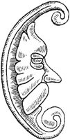 FMI048D.JPG