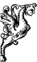 FMI047D.JPG