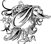 FMI047A.JPG
