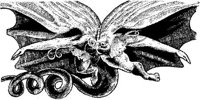FMI025A.JPG