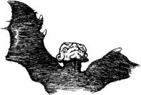 FMI022H.JPG