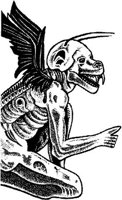 FMI022G.JPG