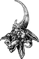 FMI021E.JPG
