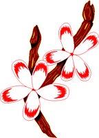 PBLOSSOM.WMF