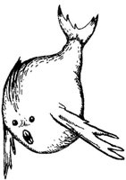 FMI018C.JPG