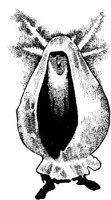 FMI015H.JPG