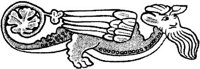FMI014B.JPG