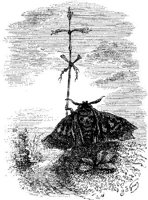 FIG162A.JPG