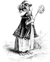 FIG156A.JPG