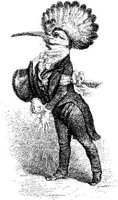 FIG135A.JPG