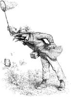 FIG115B.JPG