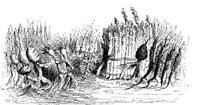 FIG025A.JPG