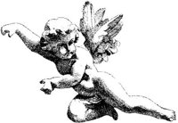 OCI029C.JPG