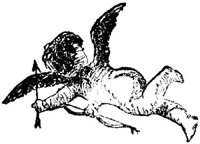 OCI019D.JPG