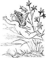OCI016K.JPG