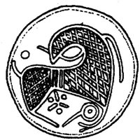 STV048A.JPG