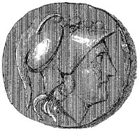 PMI059D.JPG