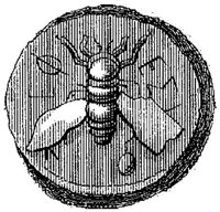 PMI055F.JPG