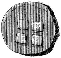 PMI055D.JPG