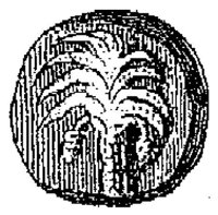 PMI050NN.JPG