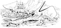 WHL022A.JPG