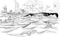 WHL019A.JPG