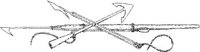 WHL016B.JPG