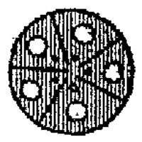 PMI166LL.JPG