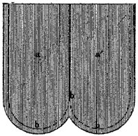 PMI166L.JPG