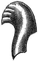 PMI127F.JPG