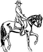 OPT026G.JPG