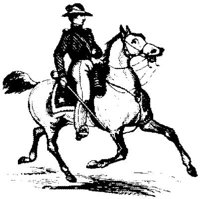 OPT024D.JPG