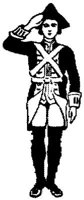 OPT023Q.JPG