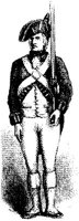 OPT009A.JPG