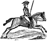 HDC071F.JPG