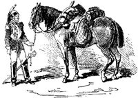 HDC069E.JPG
