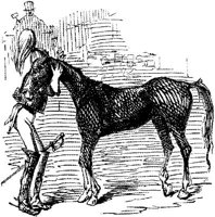 HDC069B.JPG