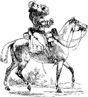 HDC068B.JPG