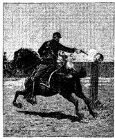 HDC068A.JPG