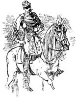 HDC067A.JPG