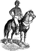 HDC064C.JPG