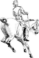 HDC063G.JPG