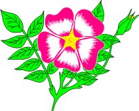 WPRAROSE.WMF