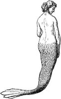WMN095D.JPG