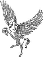 HDC123D.JPG