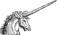 HDC122B.JPG
