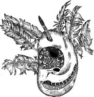 FMI151A.JPG